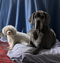 Bloome & Brooke